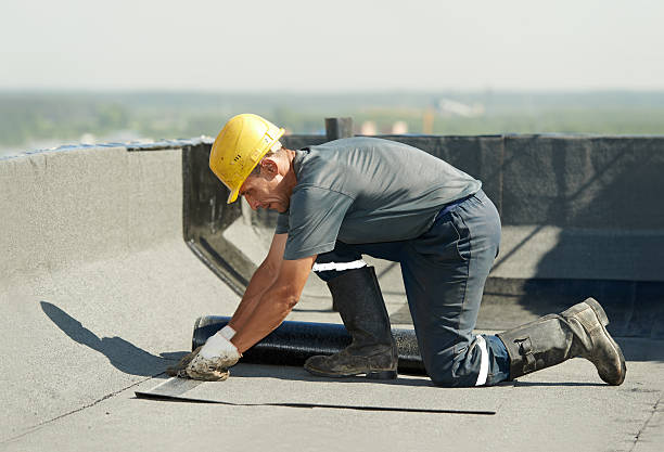 Best Wall Insulation Contractor  in White Pine, TN