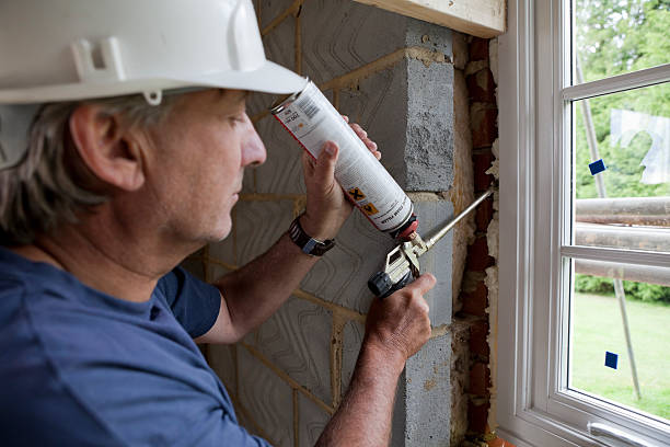 Best Insulation Replacement Services  in White Pine, TN