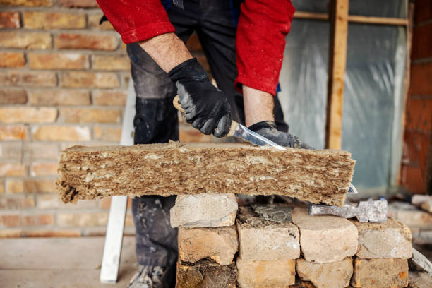 Best Insulation Repair Services  in White Pine, TN